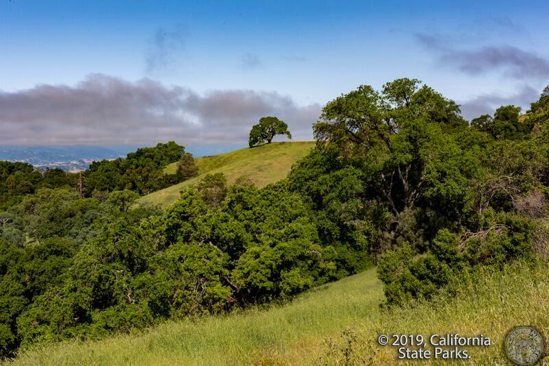 Picture of Henry W. Coe State Park