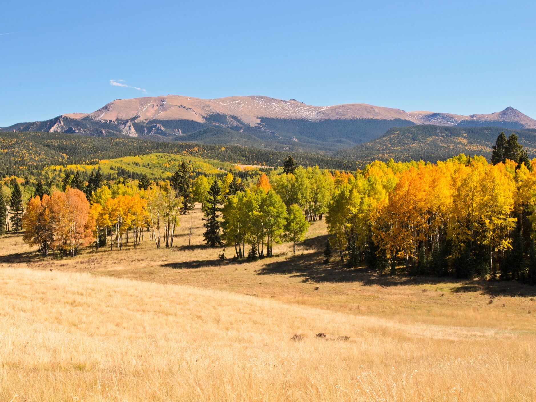 Picture of Mueller State Park