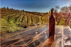 Picture of Papillon Cellars