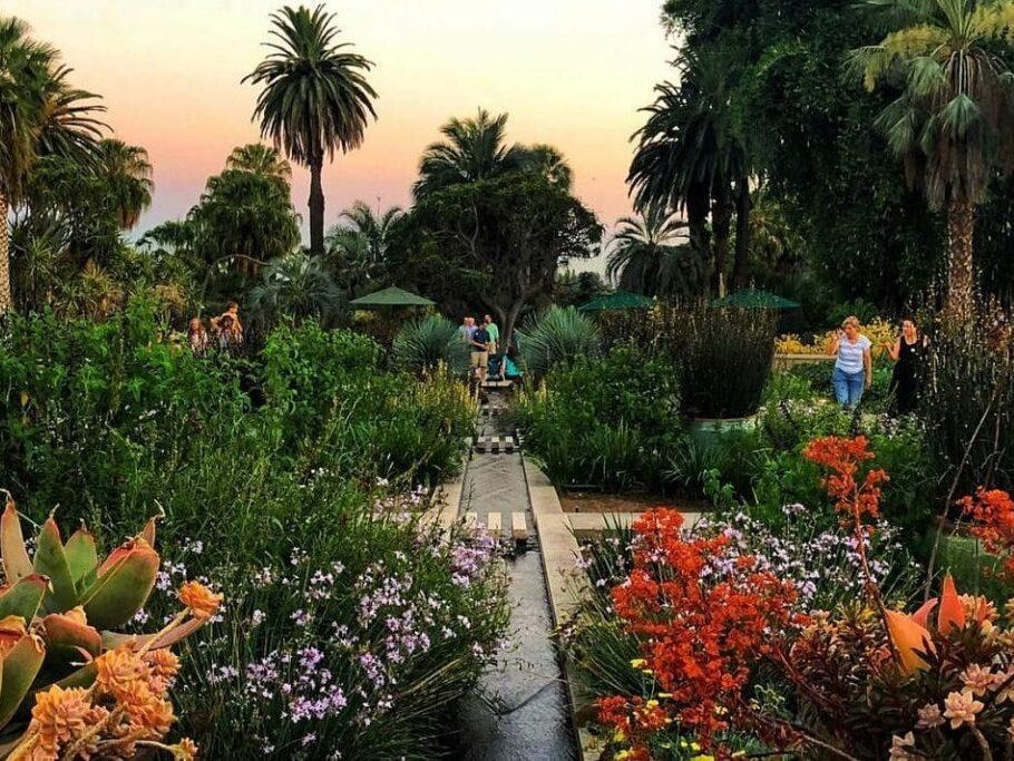 Picture of Visit The Huntington Library, Art Museum and Botanical Gardens