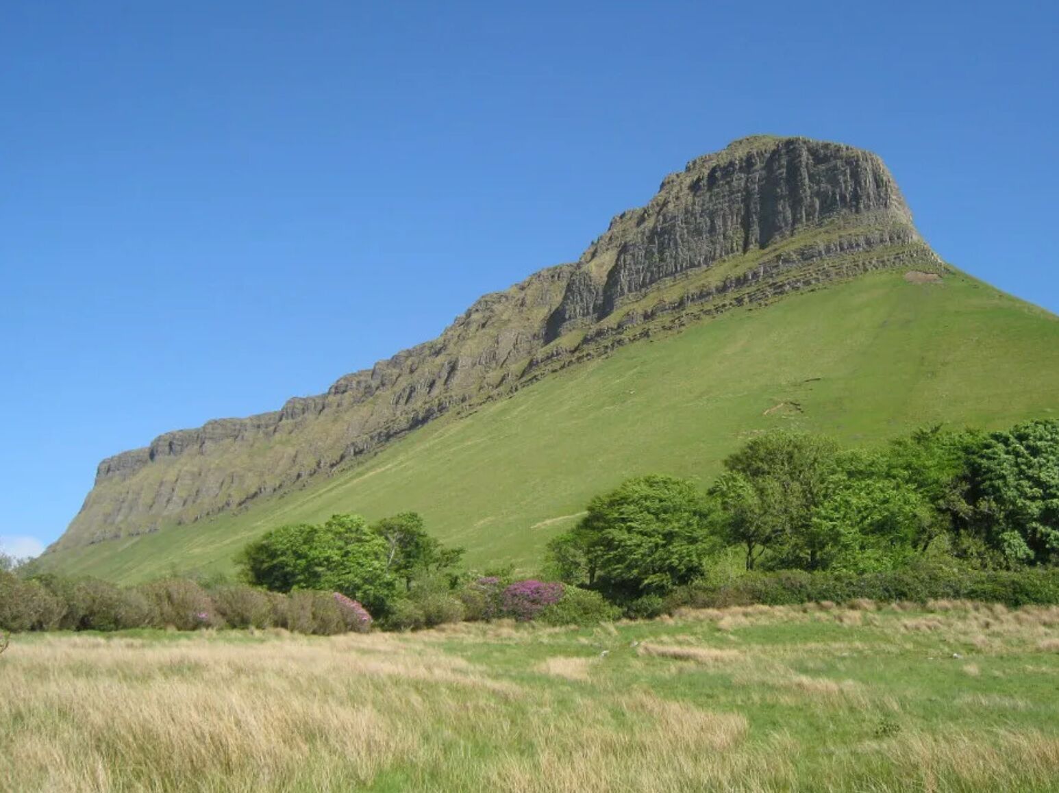 Picture of Benbulben Forest Walk