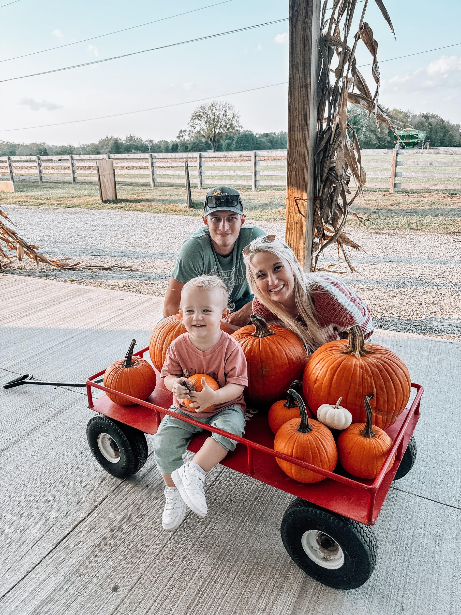 Pumpkin patch 