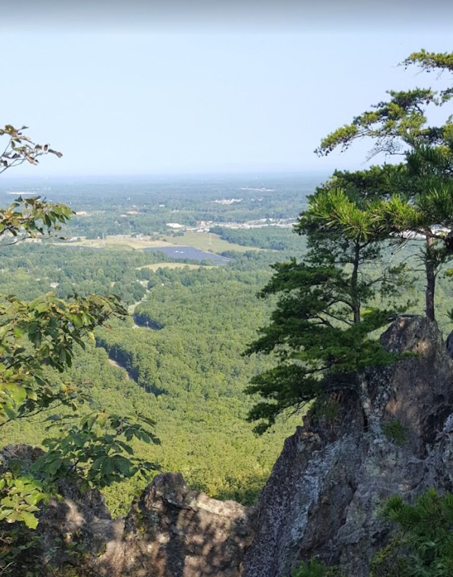 Picture of Crowder's Mountain State Park 