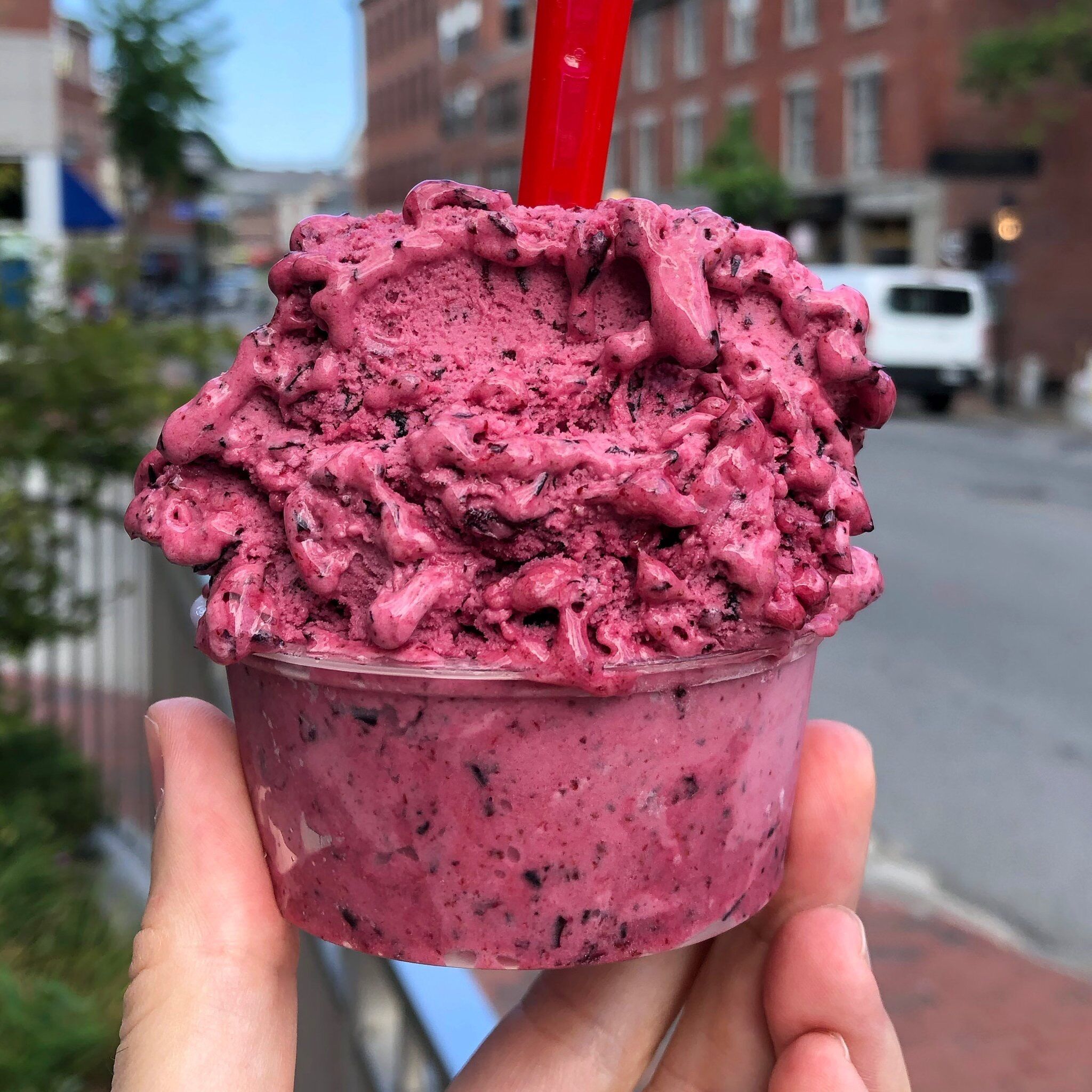 Picture of The Gelato Fiasco