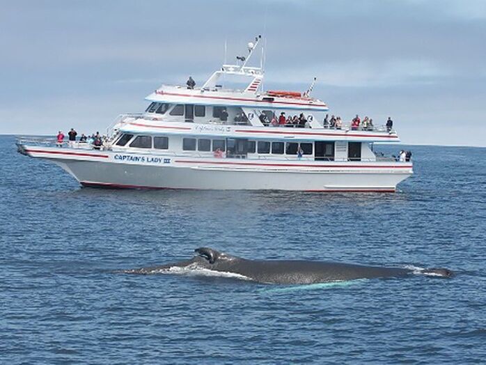Picture of Newburyport Whale Watch