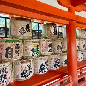 Gallery Photo 25