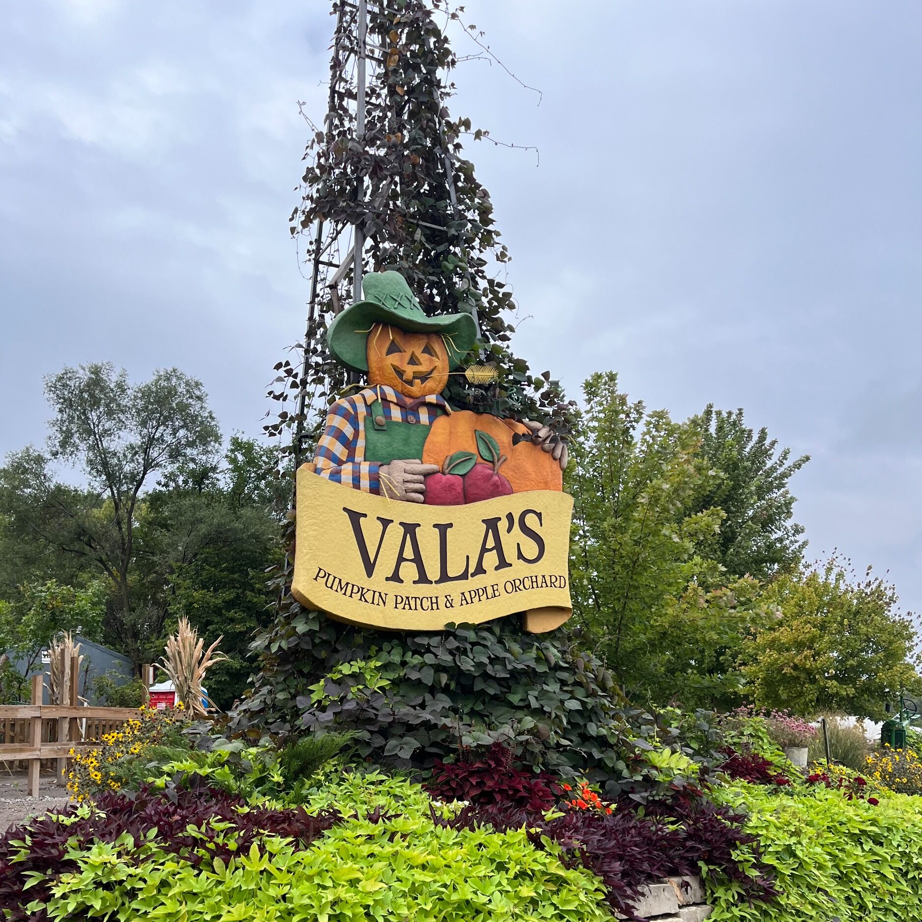Picture of Vala's Pumpkin Patch & Apple Orchard