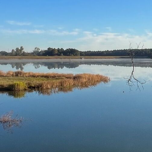 Picture of Flat Creek Public Fishing Area