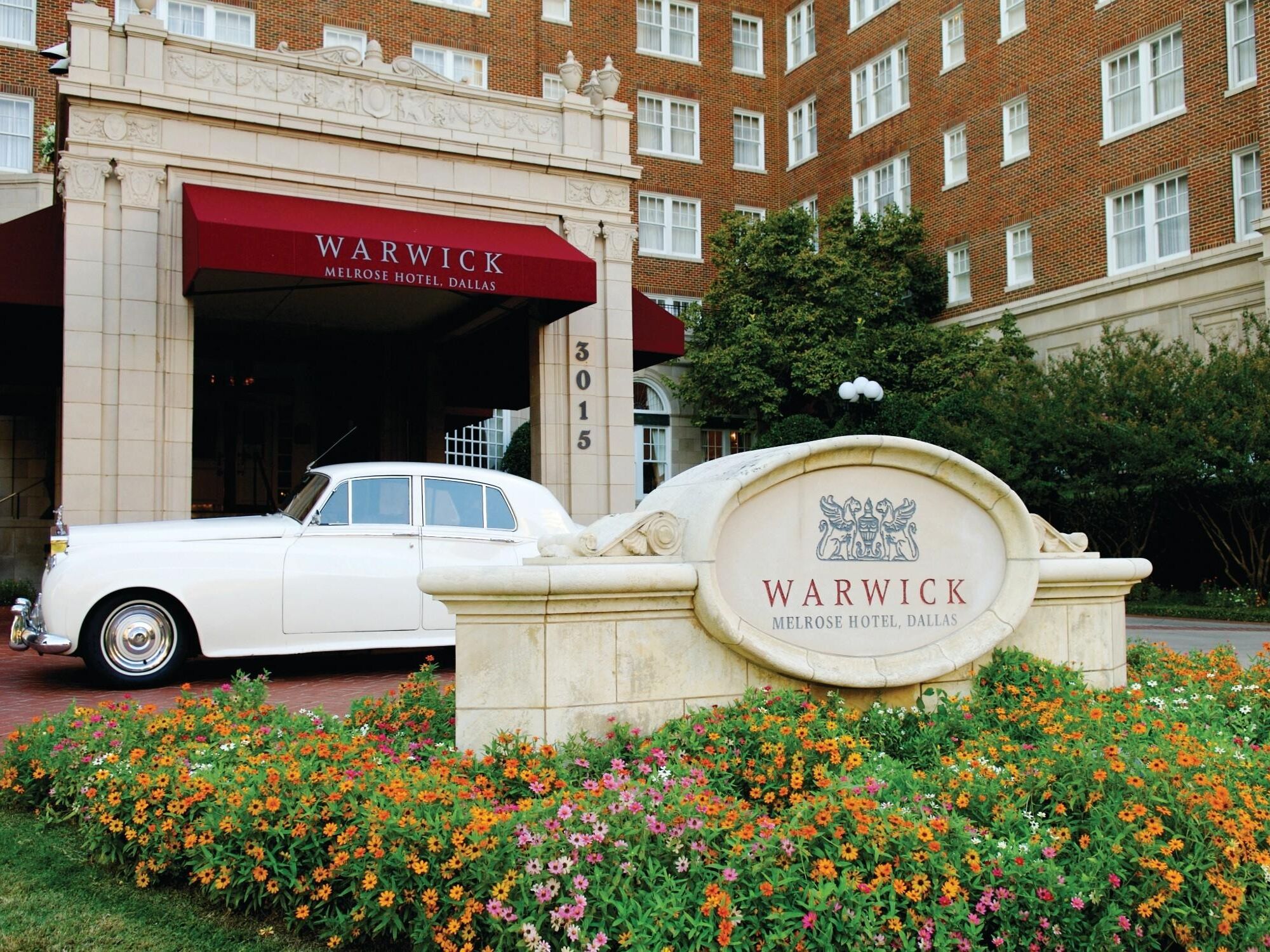 Picture of Warwick Melrose - Dallas