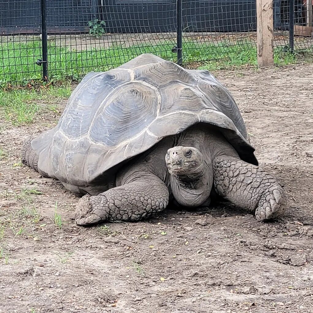 Picture of Great Plains Zoo
