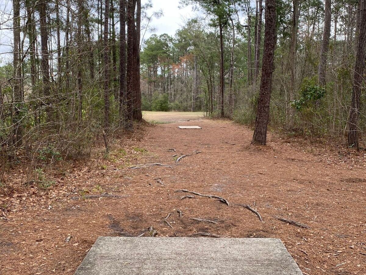 Picture of Castle Hayne Disc Golf Course