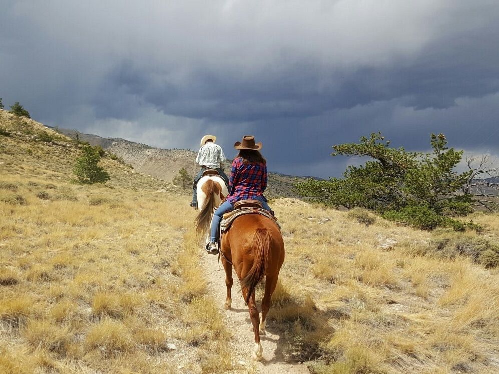 Picture of Cedar Mountain Trail Rides
