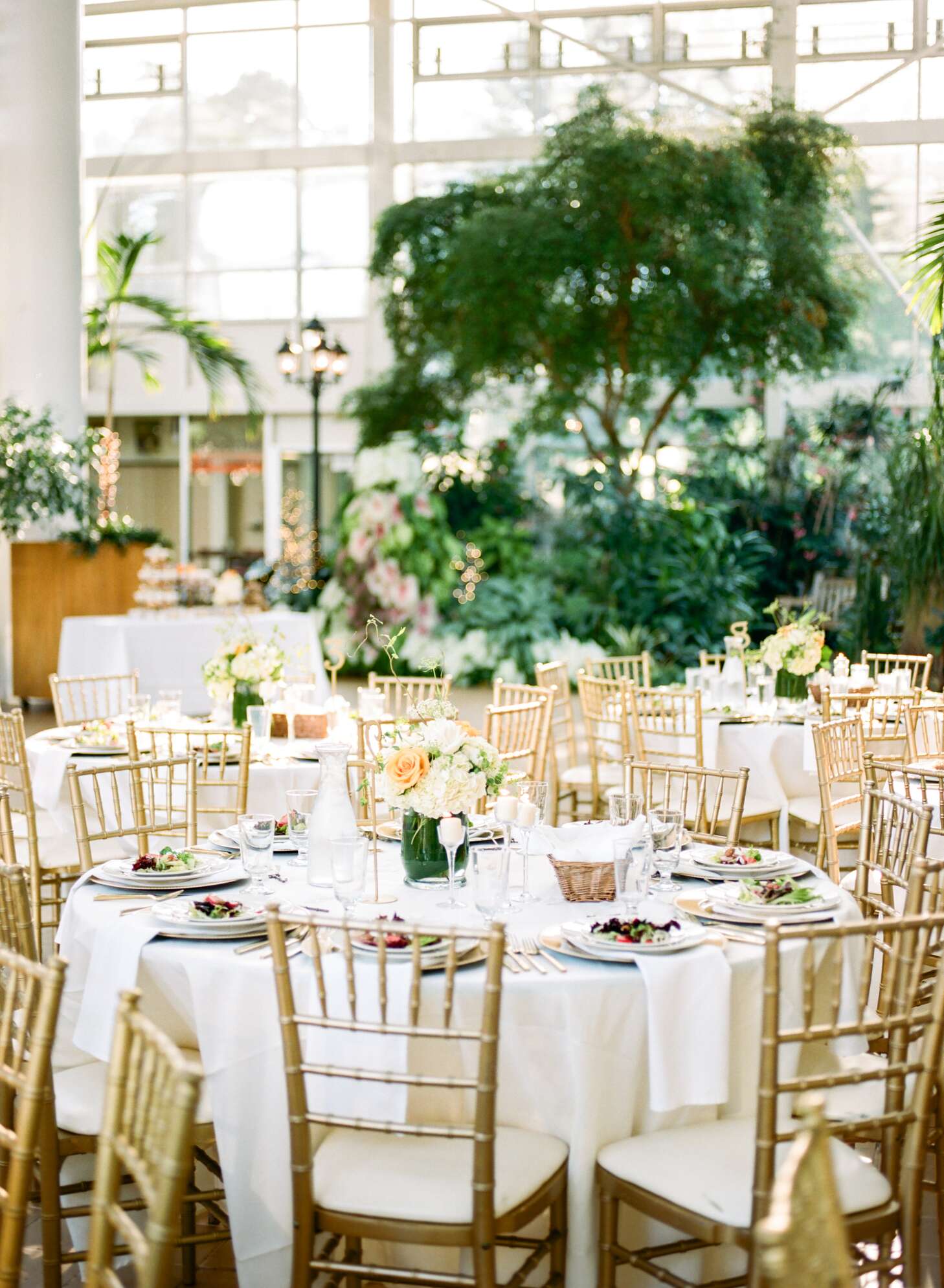 White Dining Tables with Gold Chiavari Chairs