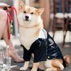 Dogs Stole the Show at This Romantic Wedding at Calamigos Ranch in Malibu, California