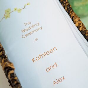 The Programs