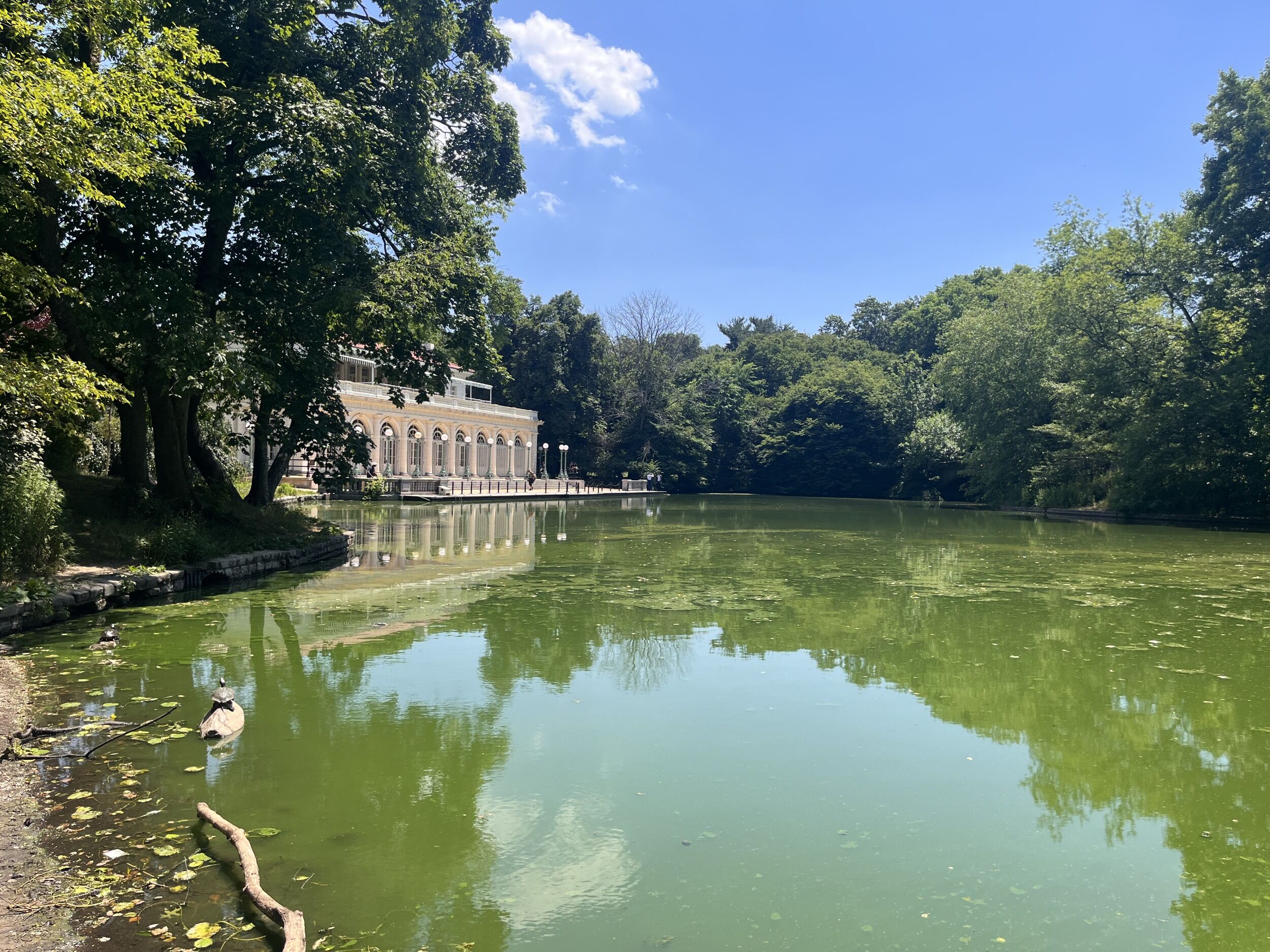 Picture of Prospect Park