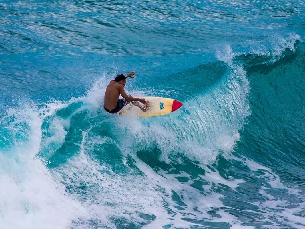 Picture of Surfing