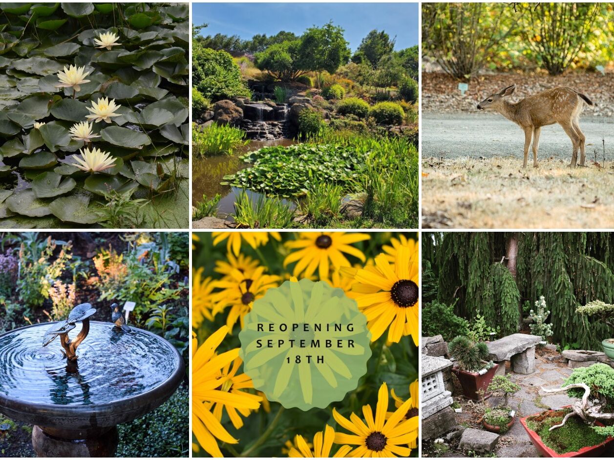 Picture of The Oregon Garden