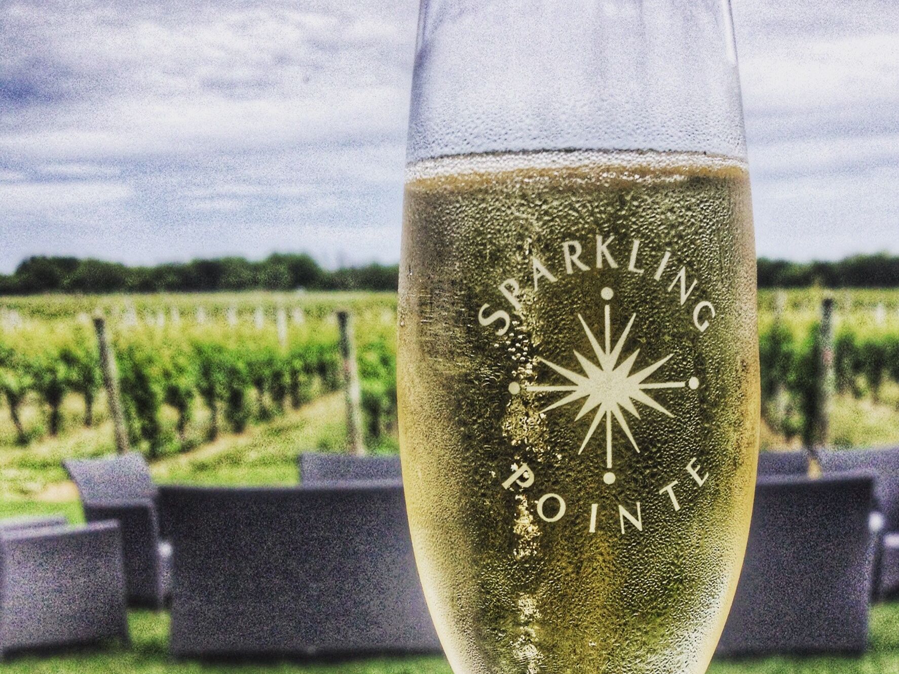 Picture of Sparkling Pointe Vineyards & Winery