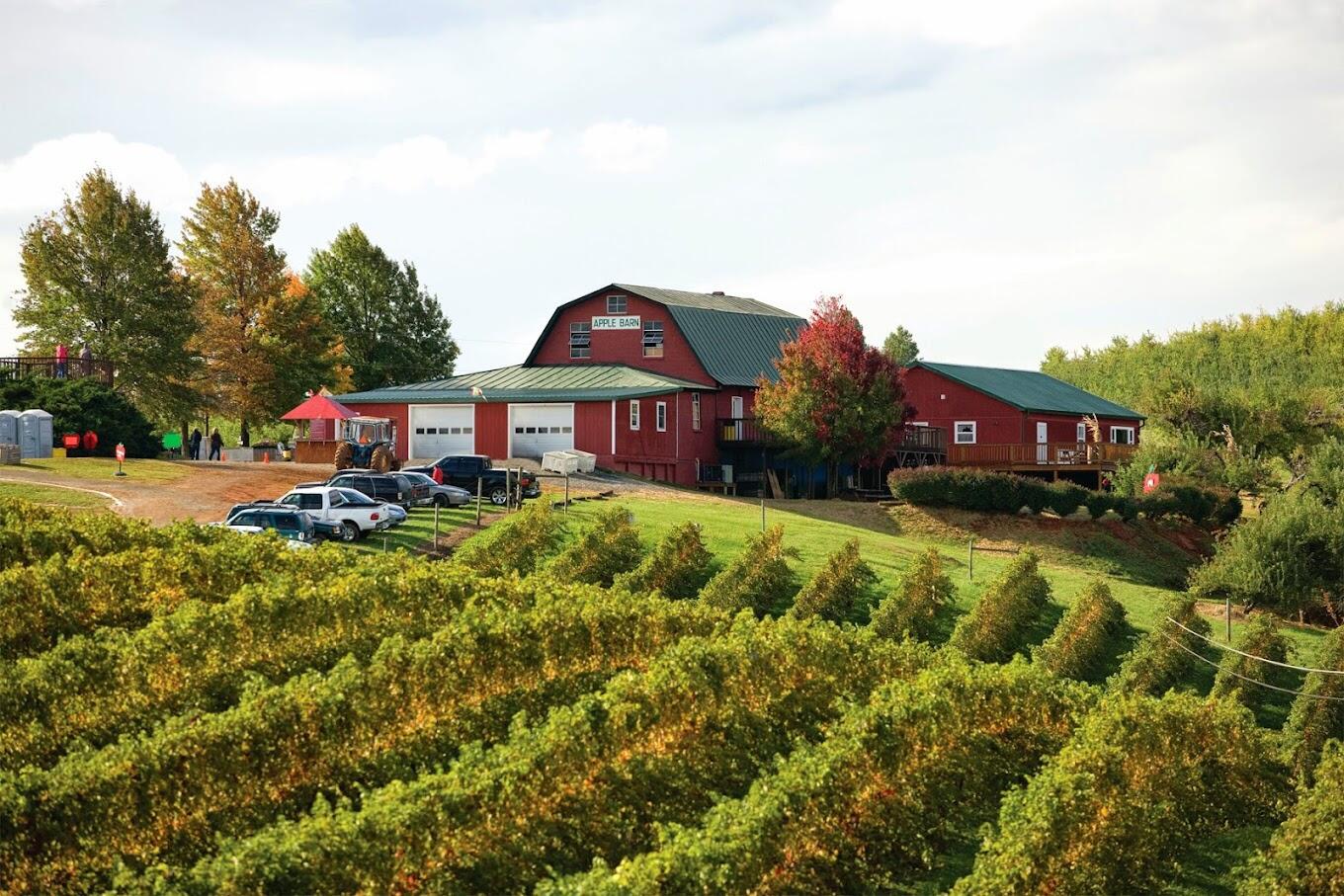 Picture of Carter Mountain Orchard and Country Store