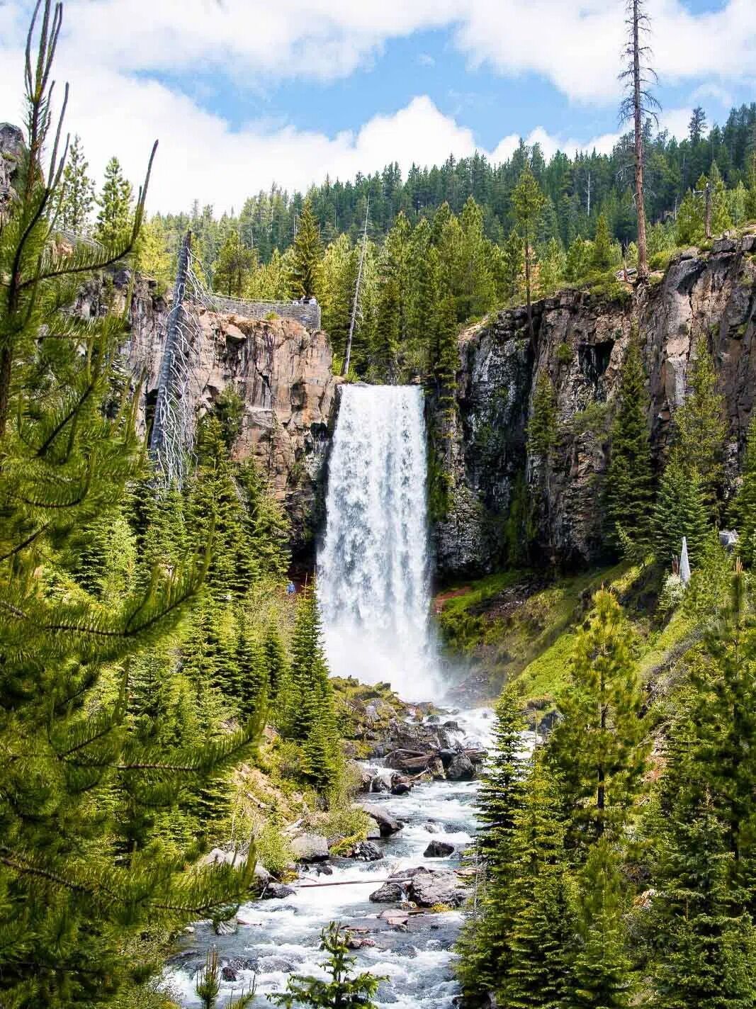 Picture of Tumalo Falls Trailhead
