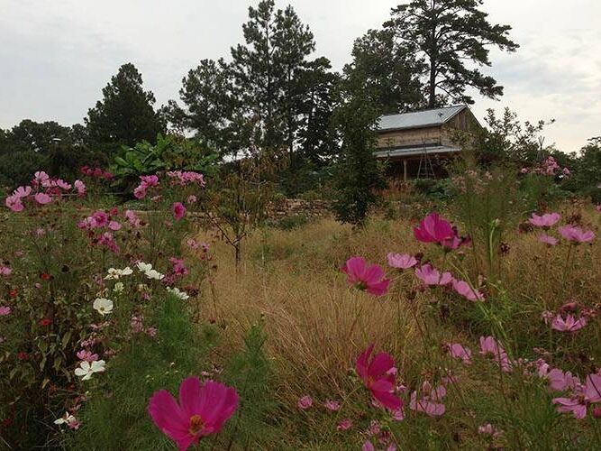 Picture of Sarah P. Duke Gardens