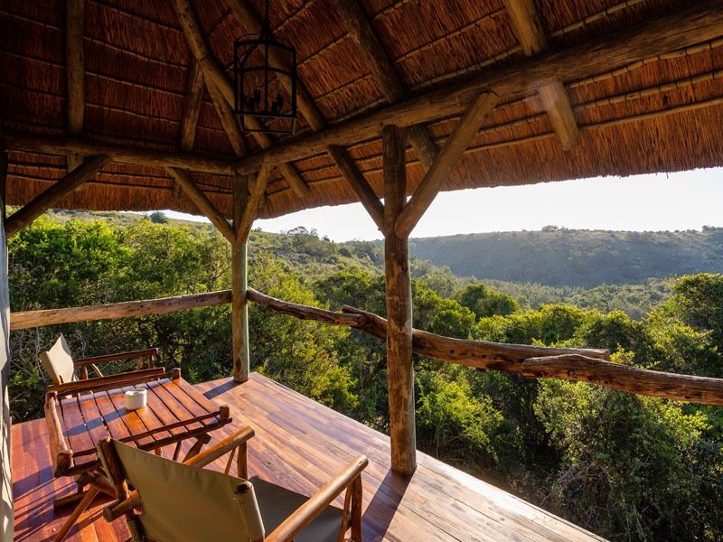 Picture of Tree Tops Guest Farm