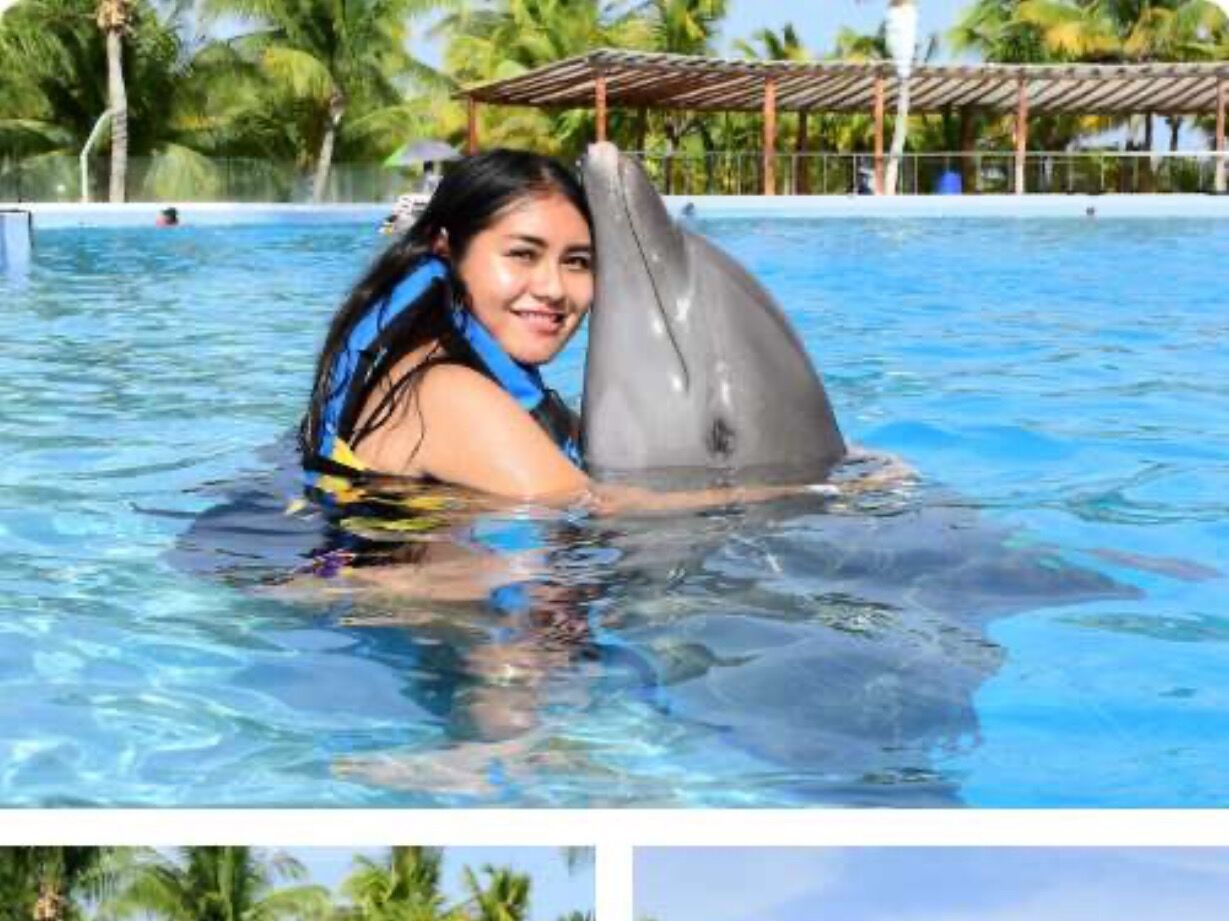 Picture of Dolphin Discovery Costa Maya