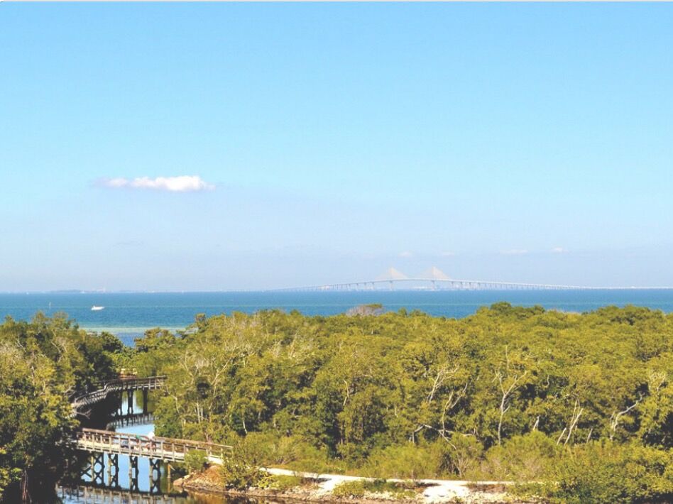 Picture of Robinson Preserve