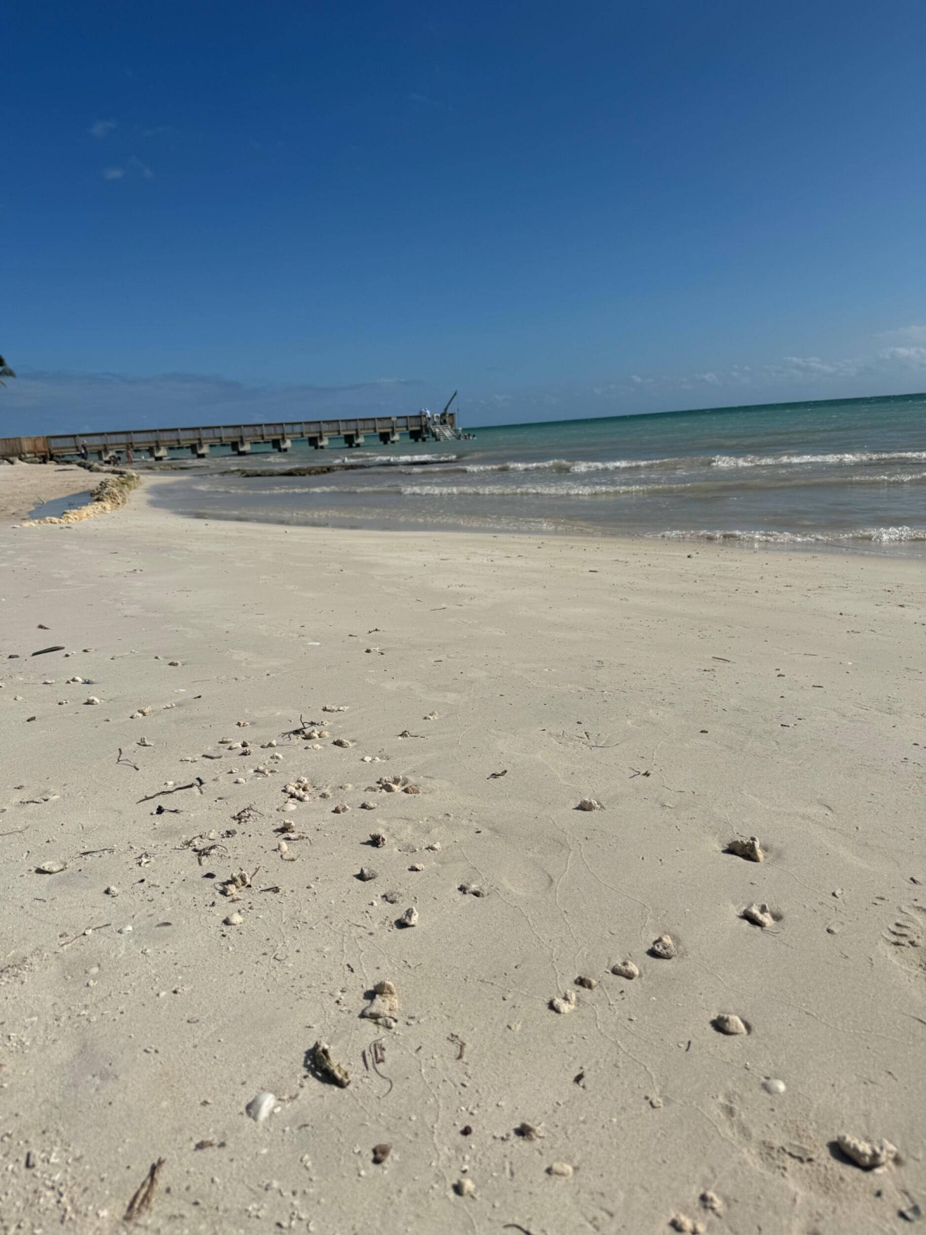 Picture of Why Key West?