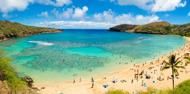 Picture of Snorkel At Hanauma Bay