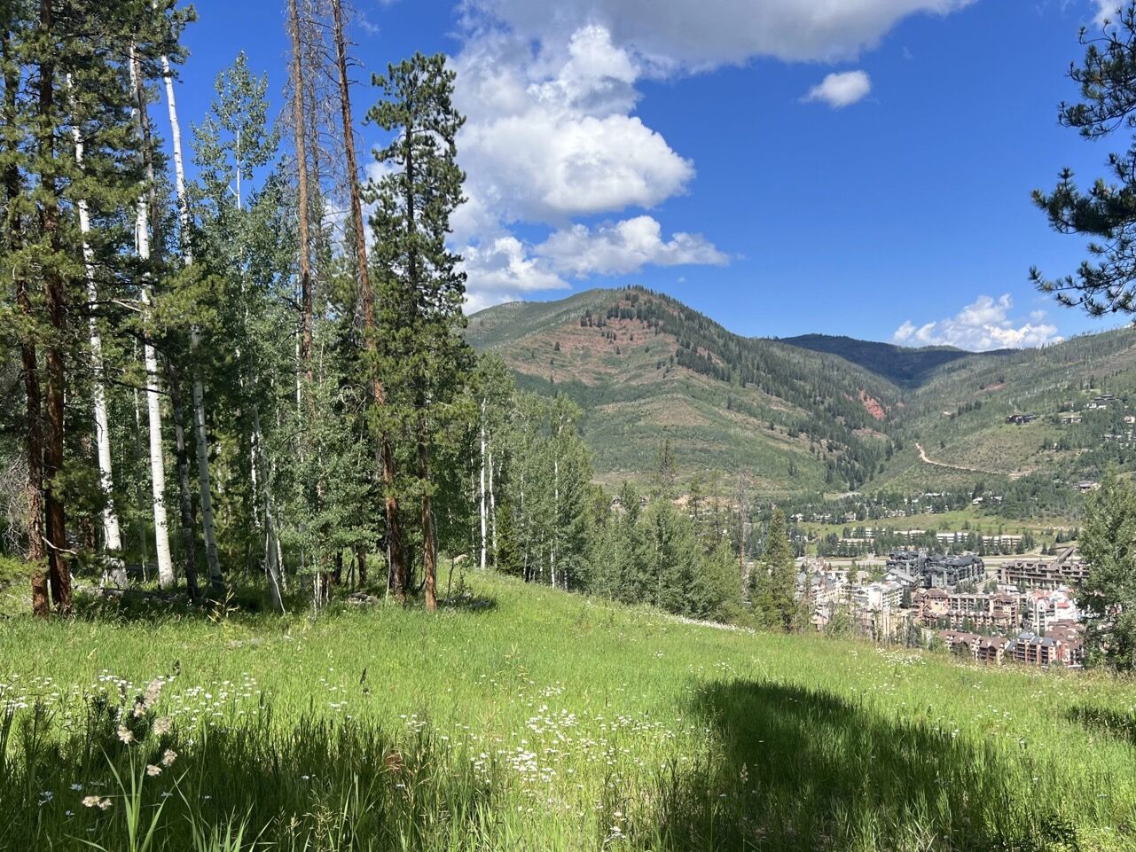 Picture of Hike Berrypicker Trail