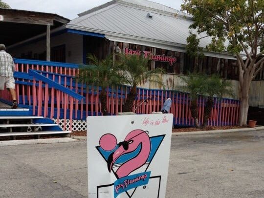 Picture of Lazy Flamingo 3