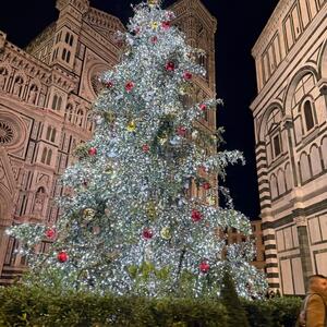 Gallery Photo 27