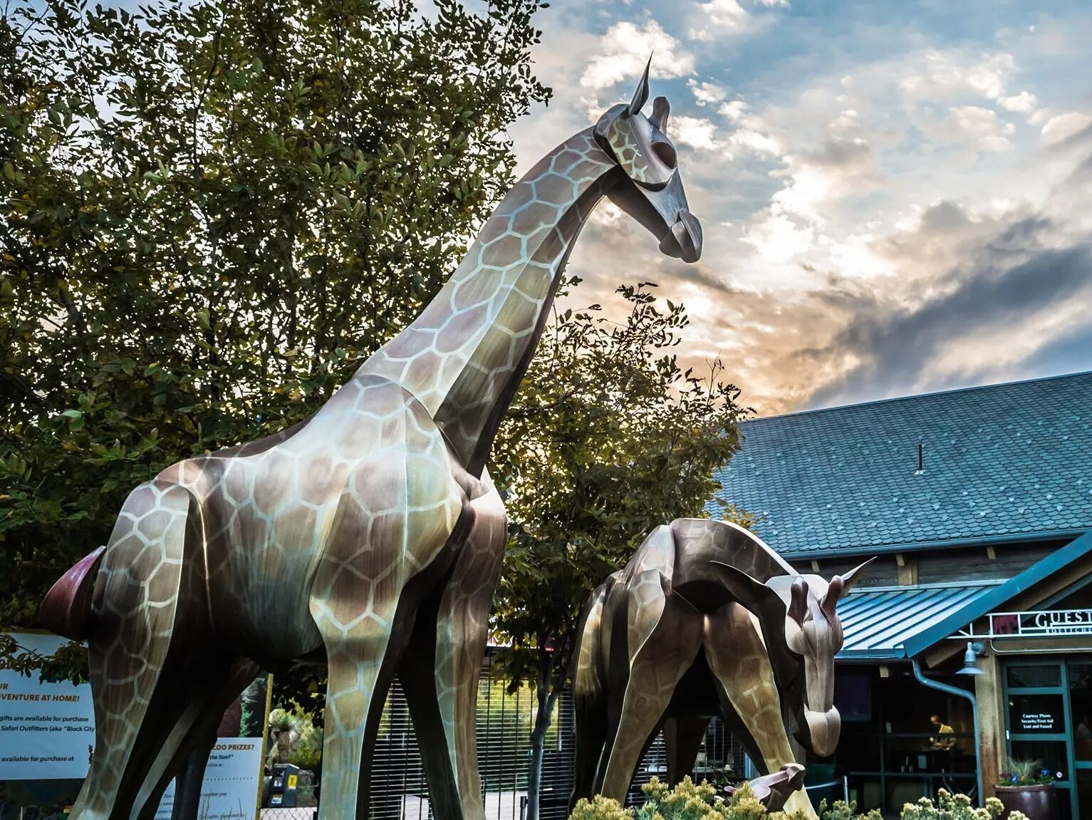 Picture of Denver Zoo
