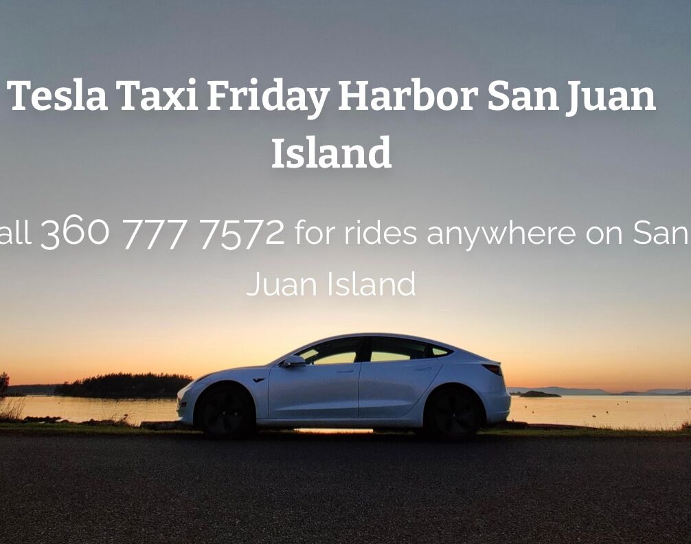 Picture of Eco Taxi Friday Harbor