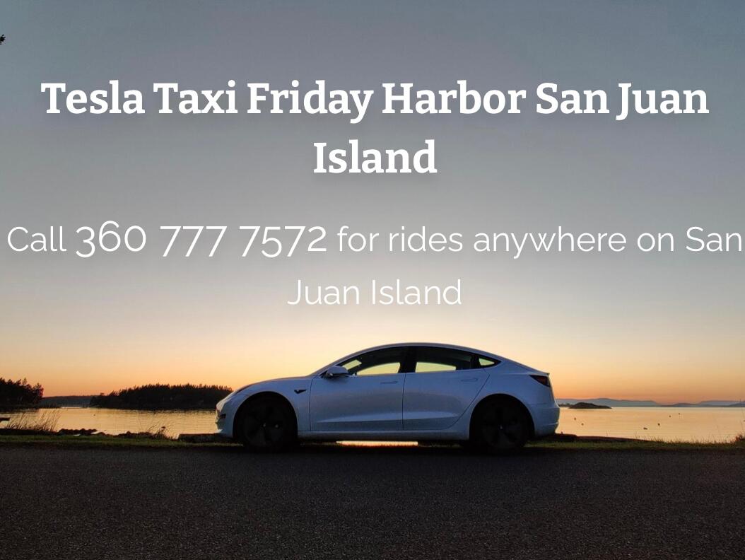 Picture of Eco Taxi Friday Harbor