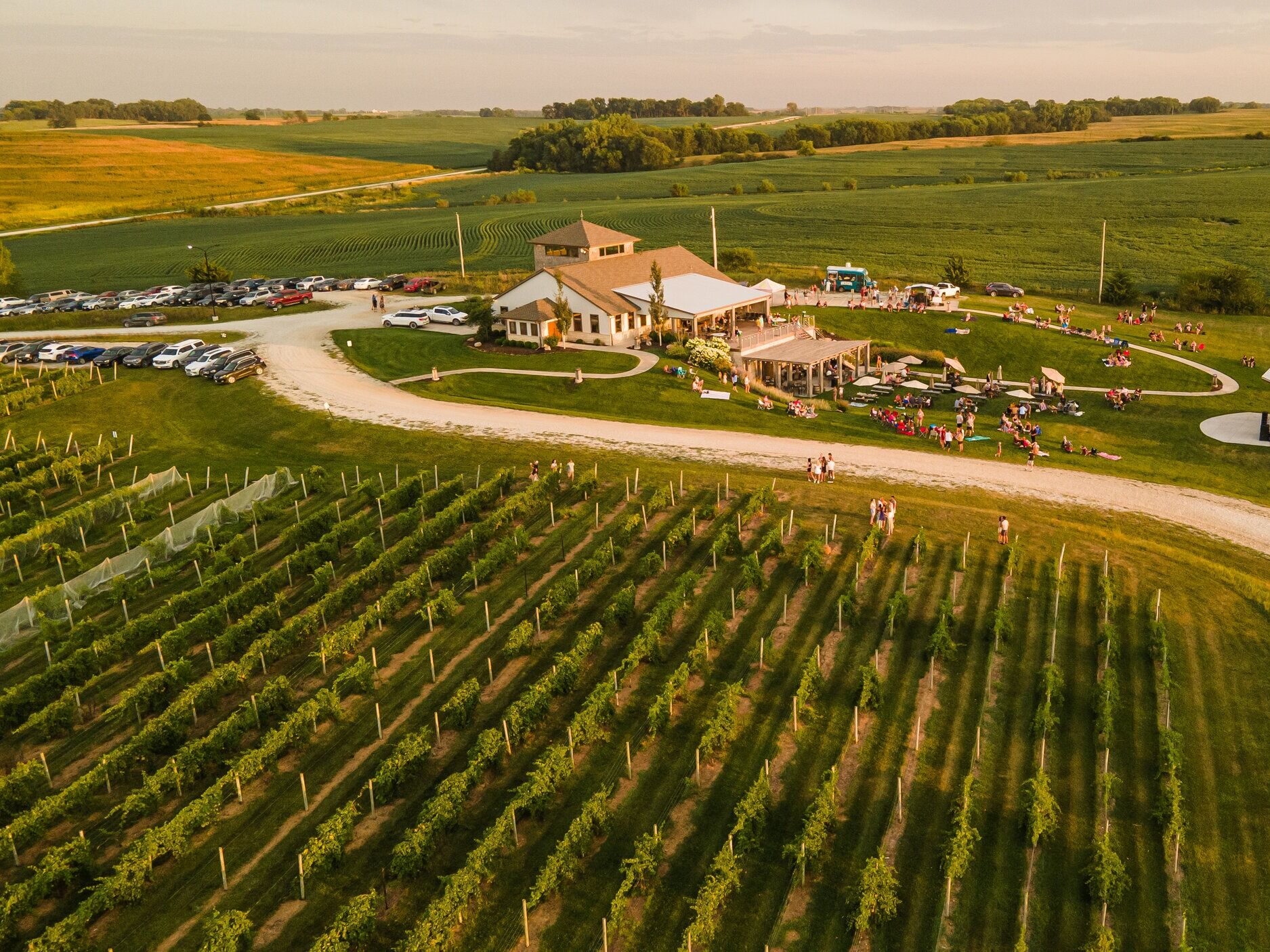 Picture of Glacial Till Vineyard & Winery