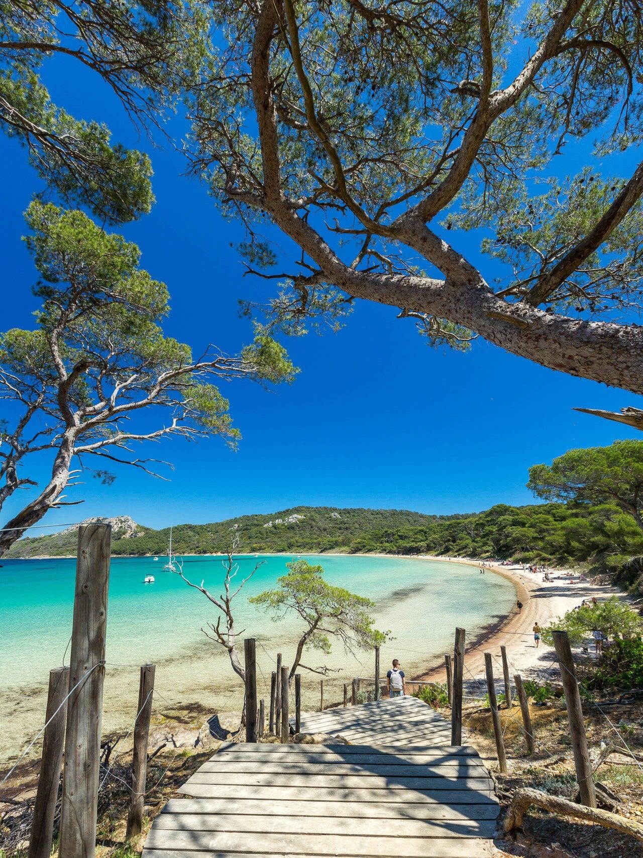 Picture of Discover the most beautiful island of France - Porquerolles