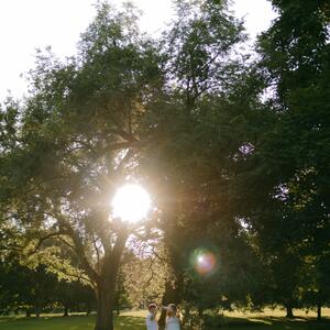 Gallery Photo 16