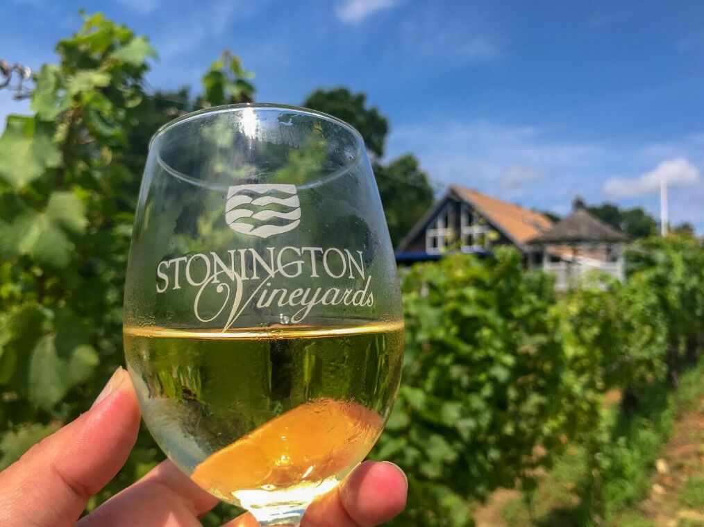 Picture of Stonington Vineyards