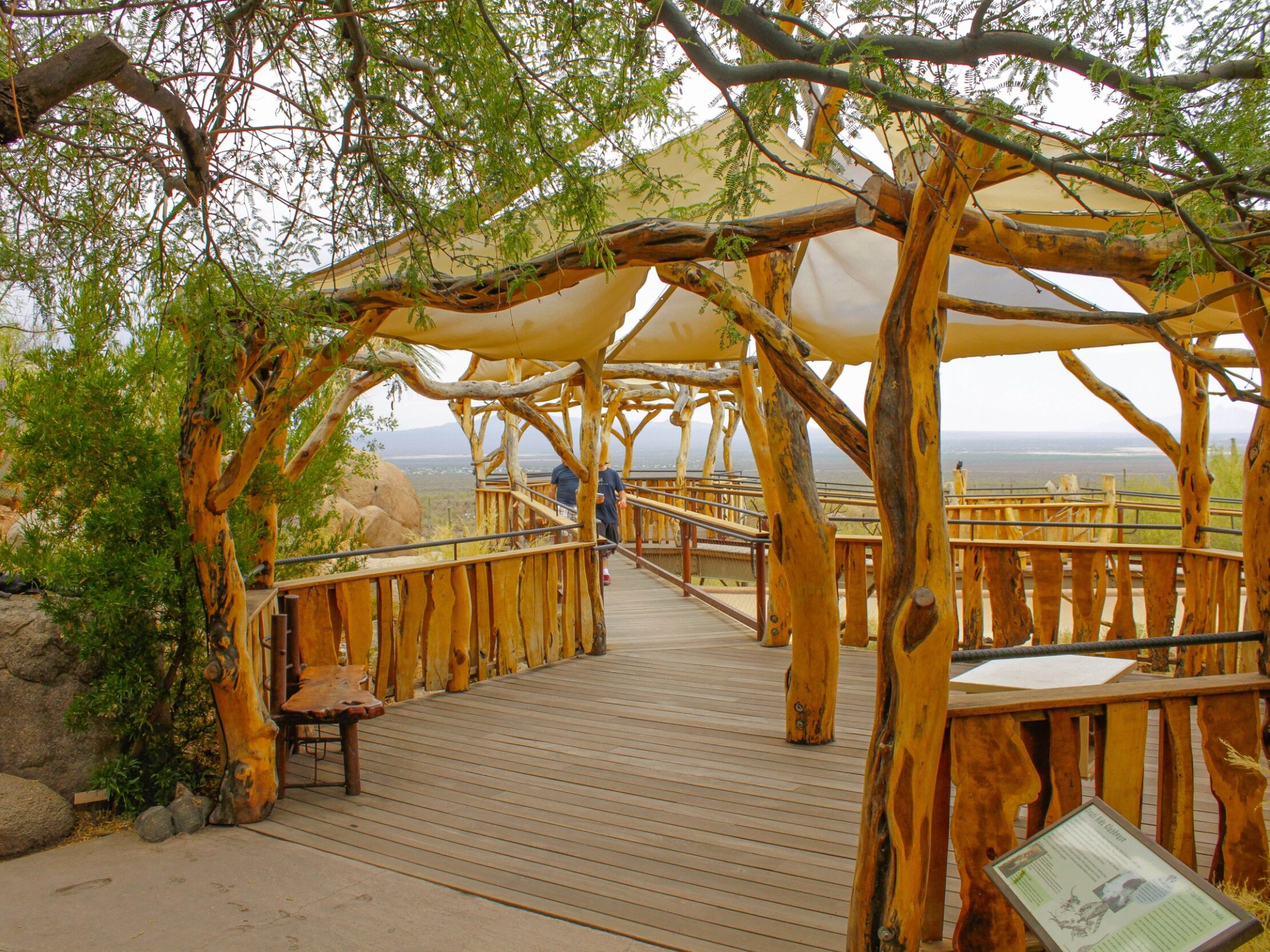 Picture of Arizona-Sonora Desert Museum