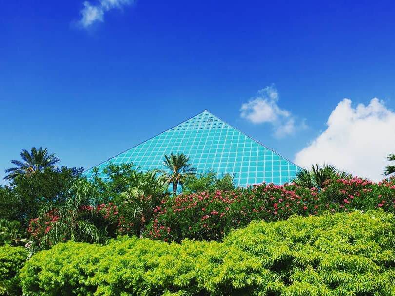 Picture of Moody Gardens
