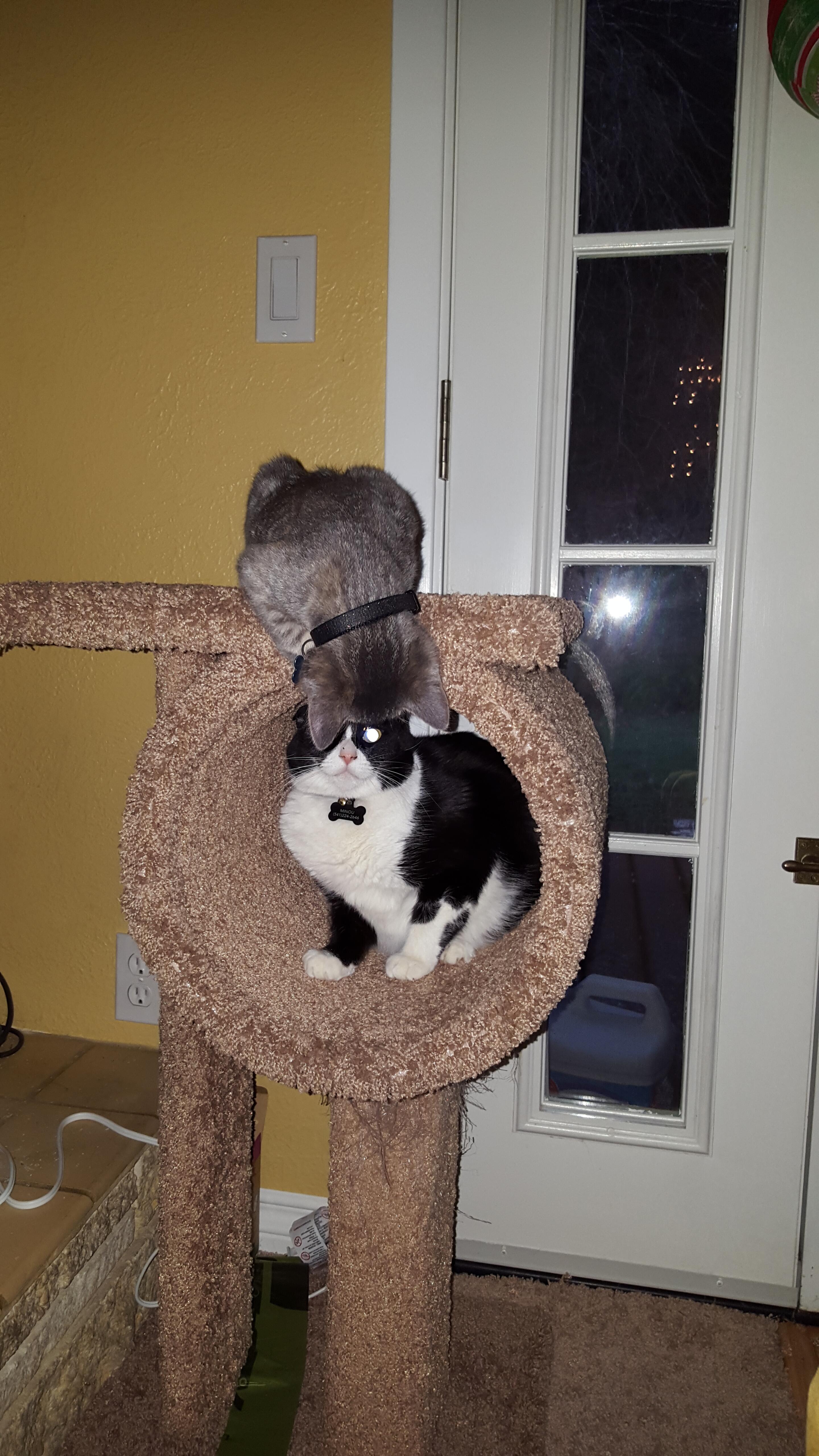 Album Photo 48