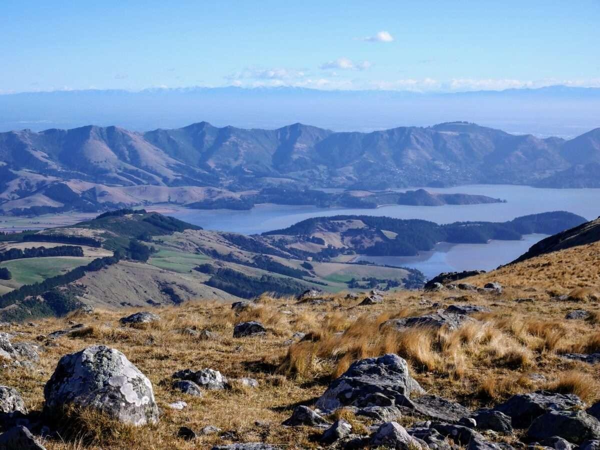 Picture of Mount Herbert/Te Ahu Patiki (Day Hike)