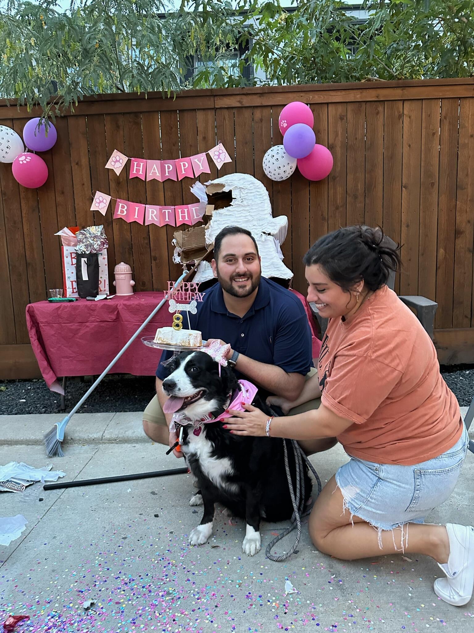 We moved in together! Pictured is our housewarming party, which we combined with Bellita's birthday!