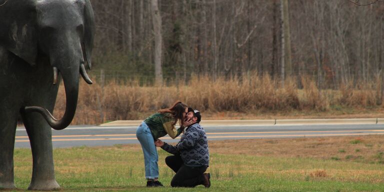 Kaitlyn & David Home Page Banner