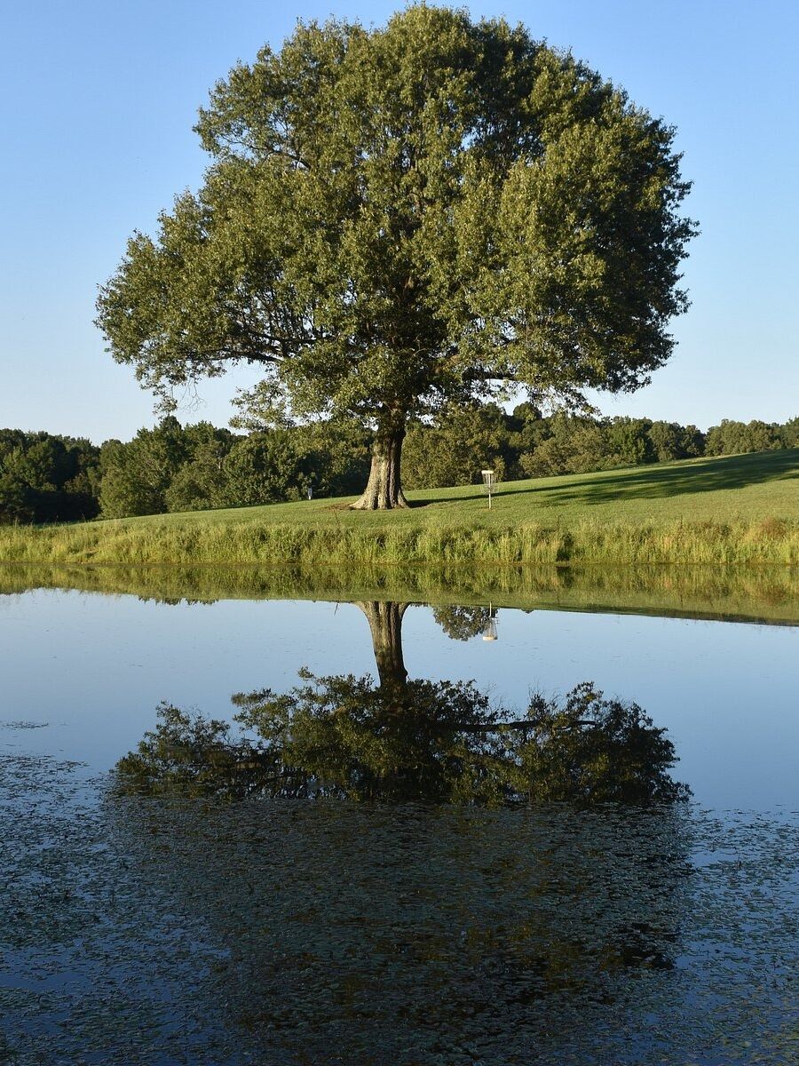 Picture of Mahr Park Arboretum
