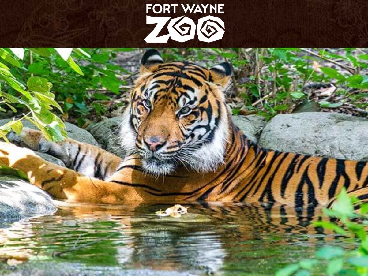 Picture of Fort Wayne Zoo