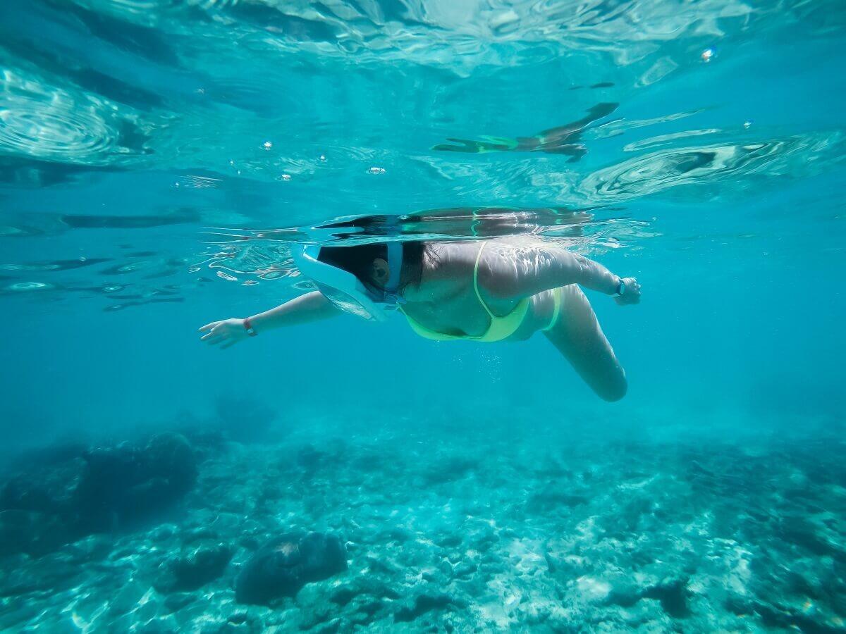 Picture of Buccoo Reef